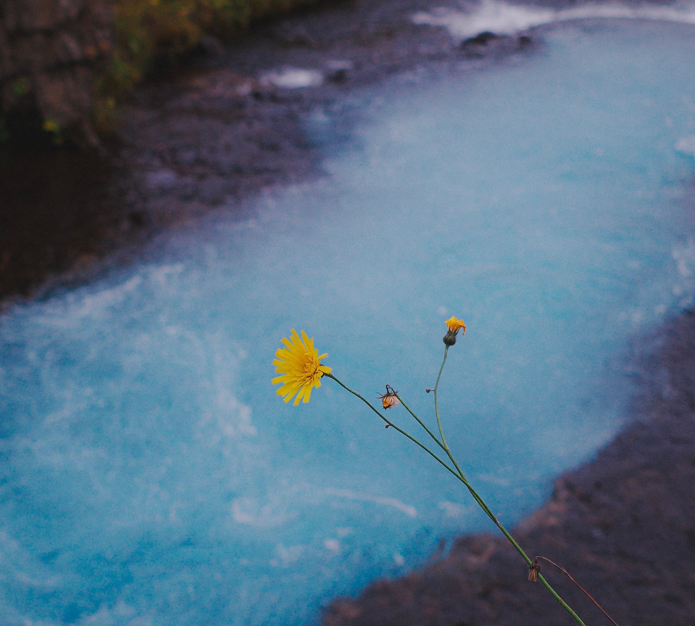 OK COWGIRL RELEASES NEW SINGLE  “IT WASN’T YOU, IT WAS THE FEELING”