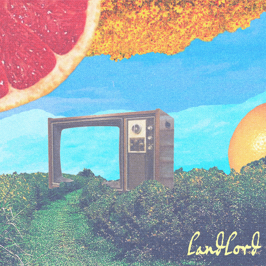 Landlord